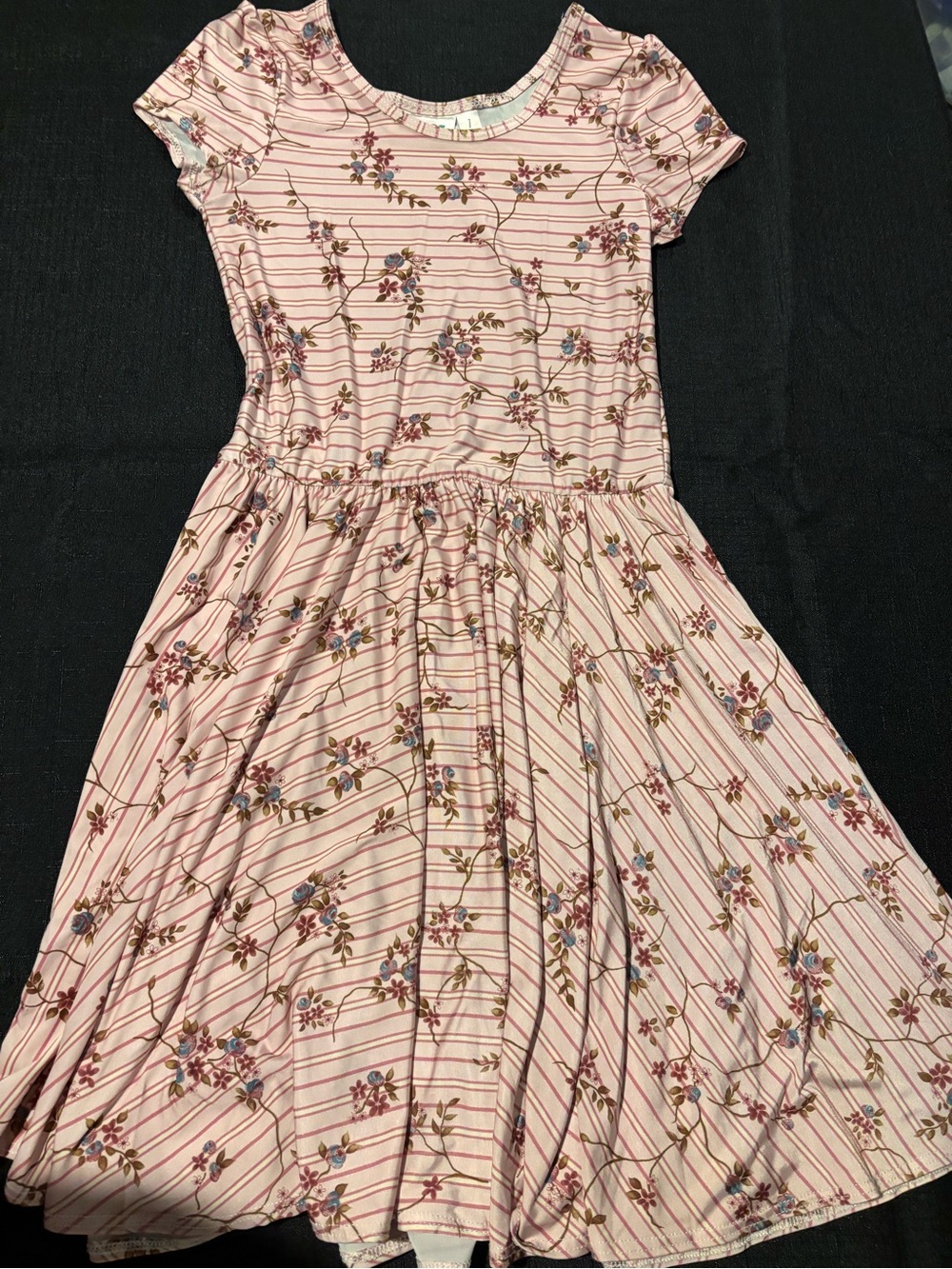 Dot Dot Smile Pink Floral Stripe Fit & Flare Dress
